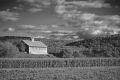 Harvest Time * Harvest Time, Northern Vermont * 800 x 540 * (206KB)