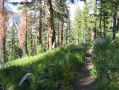 Descent * Descending toward lake Edisoon, VVR, and Mono Creek. * 866 x 650 * (290KB)