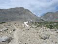 Long Grind * Southern approach to Mather Pass.  It's A LOT steeper than it looks... * 866 x 650 * (192KB)